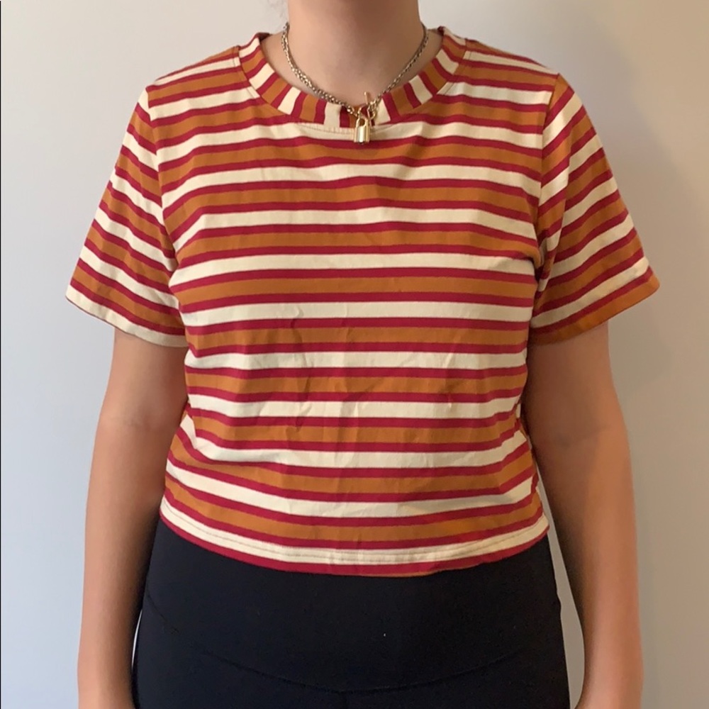 Orange Striped Short Sleeve Crop Top